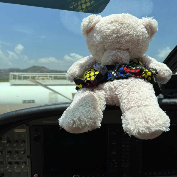 Kuva 3 Emman Lulu nallekarhu lähti pitämään Peterin seikkailuja Ugandassa silmällä